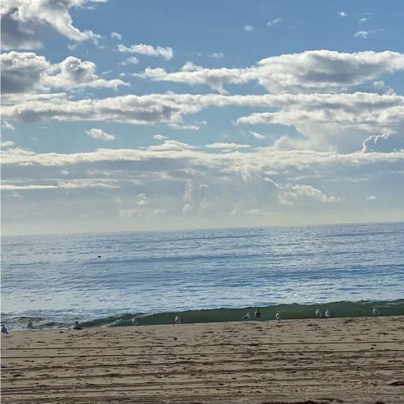 Meet your Posher, Robert - Picture 9 of 13